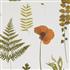 Clarke & Clarke Botanica Herbarium Multi/Ivory Wallpaper