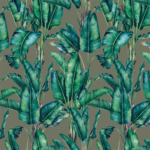 Chatham Glyn Tropical Velvets Valdivian Dove Fabric