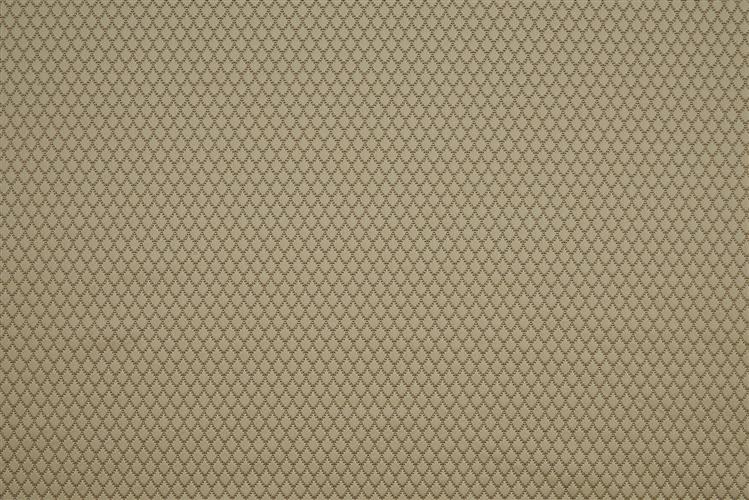 Beaumont Textiles Infusion Adriana Sandstone Fabric