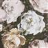 Clarke & Clarke Botanica Floretta Blush/Charcoal Wallpaper