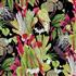 Chatham Glyn Tropical Velvets Tasmania Ebony Fabric