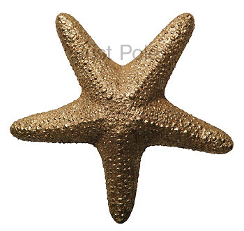 Byron & Byron Holdback Starfish Gilt