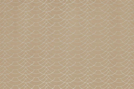 Kai Aravalli Dinaric Gold Fabric