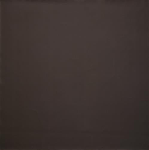 Iliv Burghley FR Chocolate Fabric