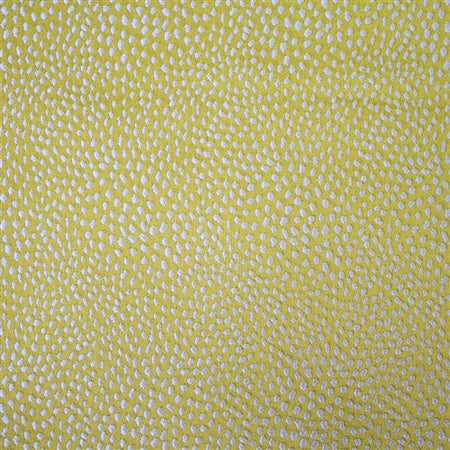 Ashley Wilde Textures Blean Zest Fabric