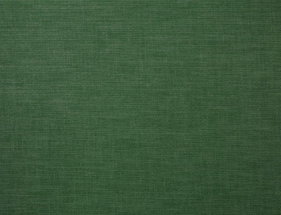 Ashley Wilde Lunar Amazon Fabric