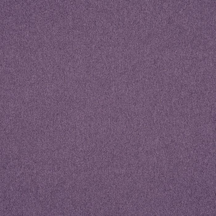 Prestigious Impressions Dusk Heliotrope
