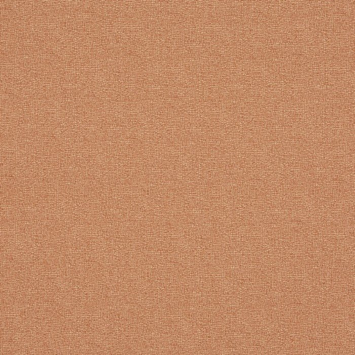 Prestigious Impressions Trace Tangerine
