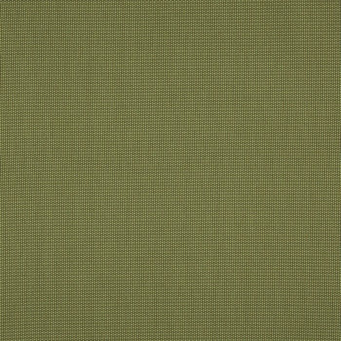 Prestigious Textiles Penzance Olive