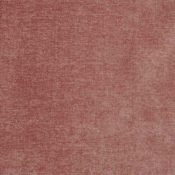 Prestigious Havana Rose