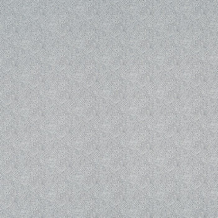 Prestigious Timeless Endless Carbon Fabric