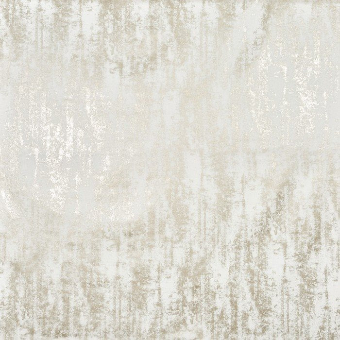 Prestigious Phoenix Caesar Coin Fabric