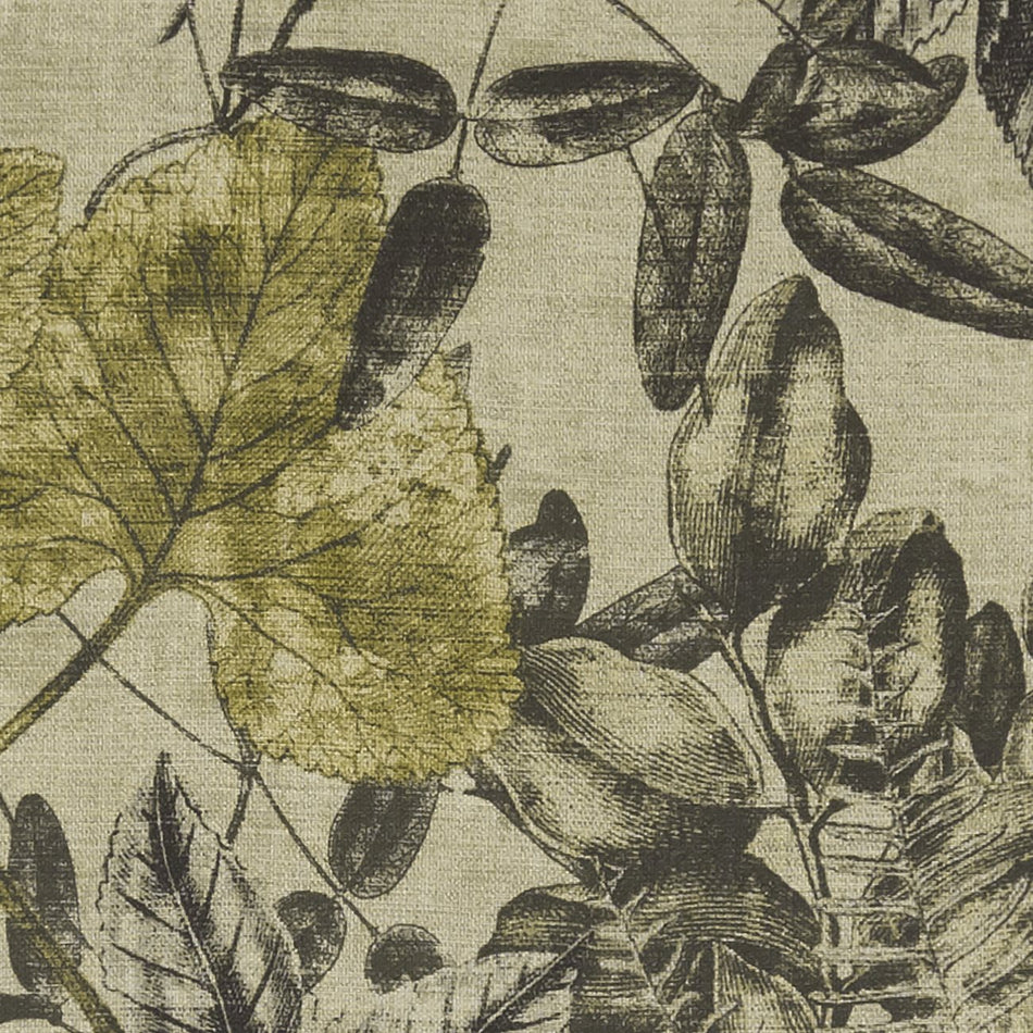 Clarke & Clarke Exotica Madagascar Charcoal_Chartreuse