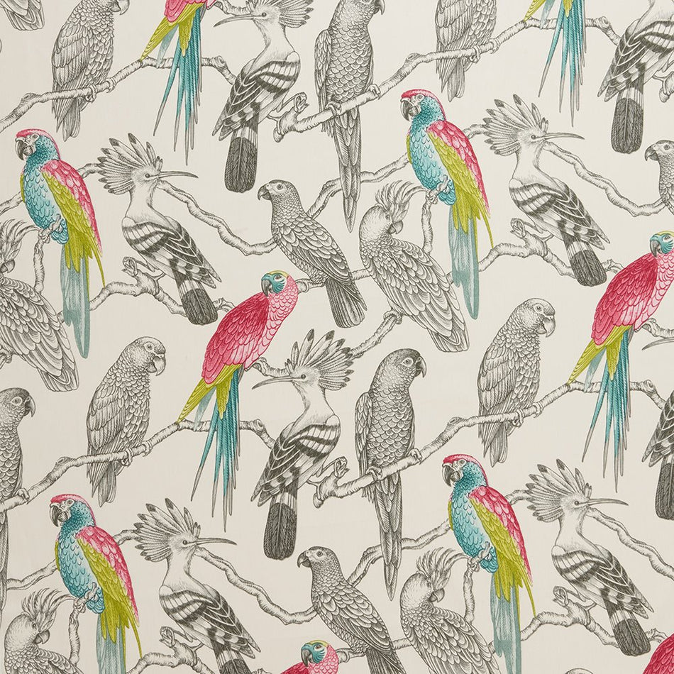 ILIV Maldives Aviary Begonia Fabric