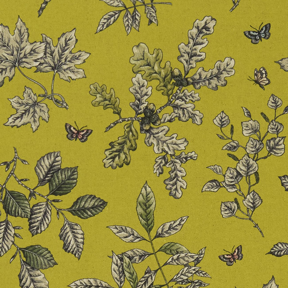 Clarke & Clarke Eden Hortus Chartreuse Fabric