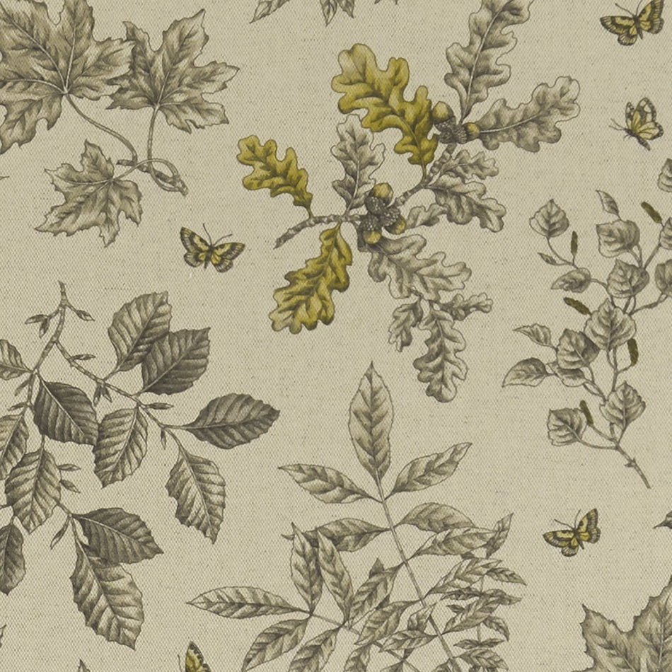 Clarke & Clarke Eden Hortus Charcoal_Ochre Fabric