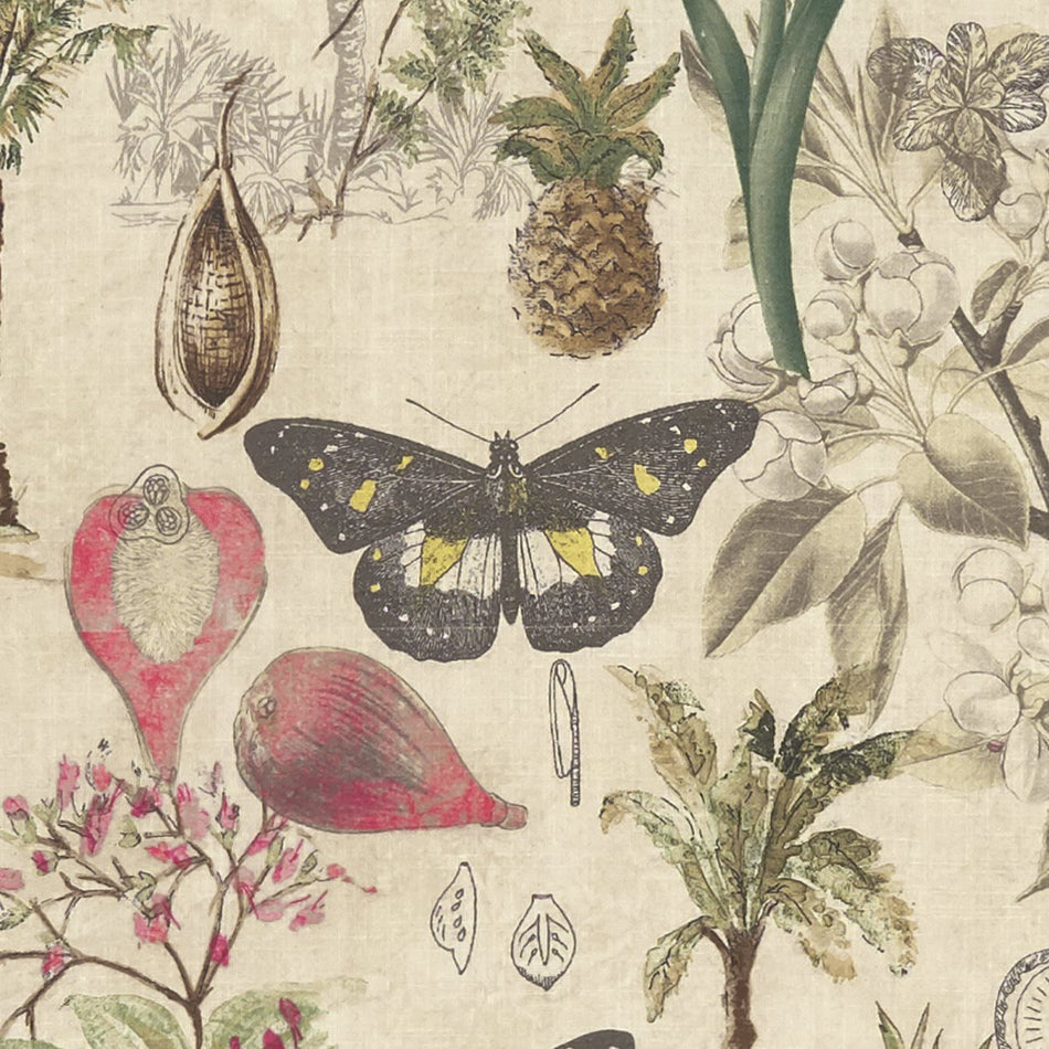 Clarke & Clarke Exotica Botany Summer Fabric