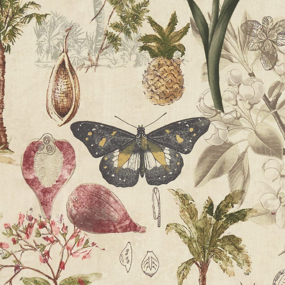 Clarke & Clarke Exotica Botany Tropical Fabric