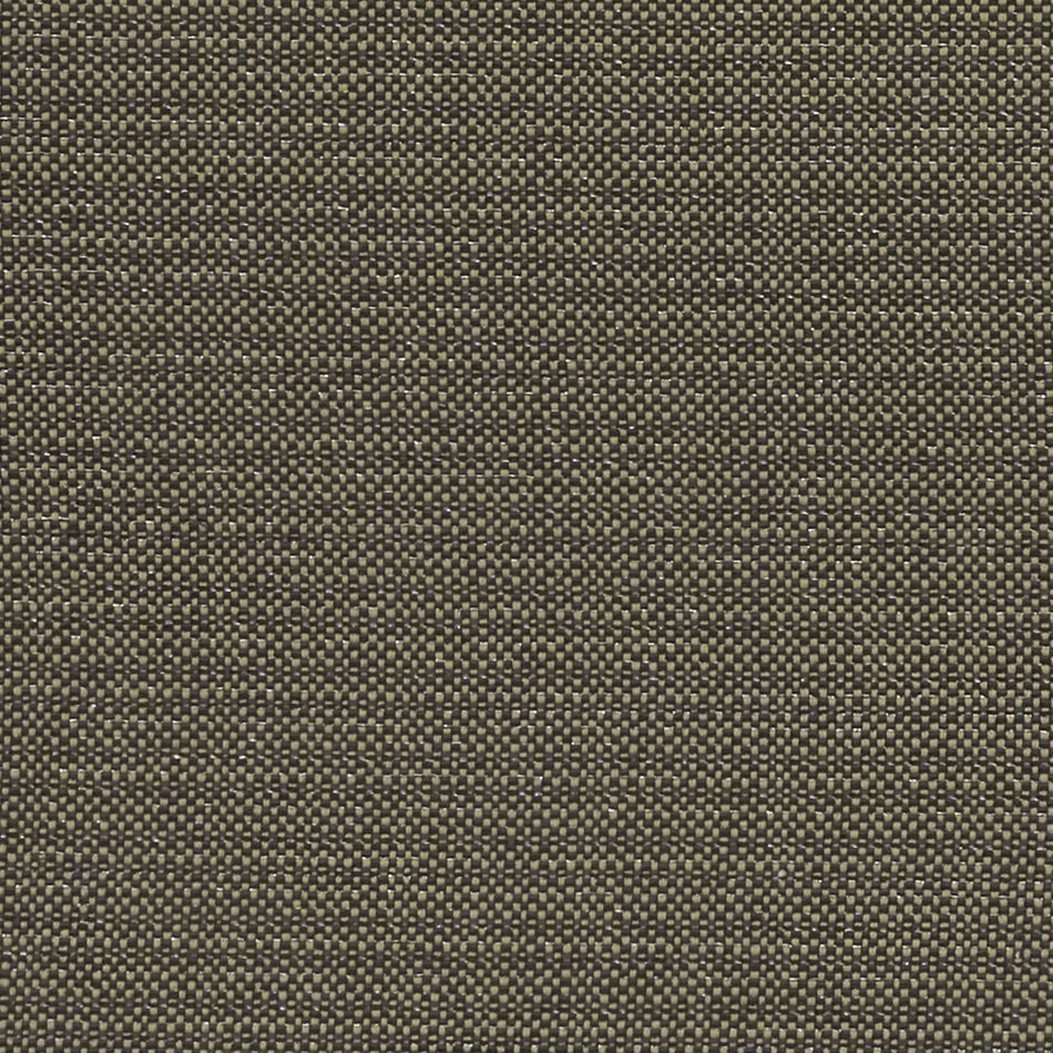 Clarke & Clarke Exotica Kauai Charcoal