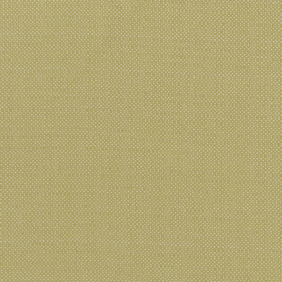Clarke & Clarke Exotica Kauai Citron Fabric