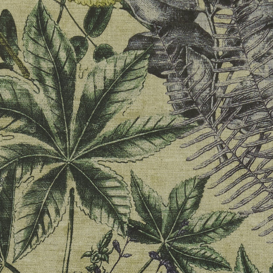 Clarke & Clarke Exotica Madagascar Forest Fabric