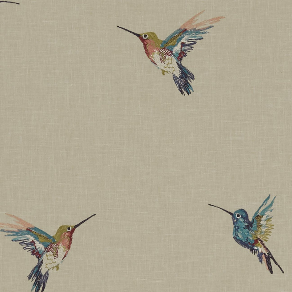 Clarke & Clarke Exotica Woodstar Tropical Fabric