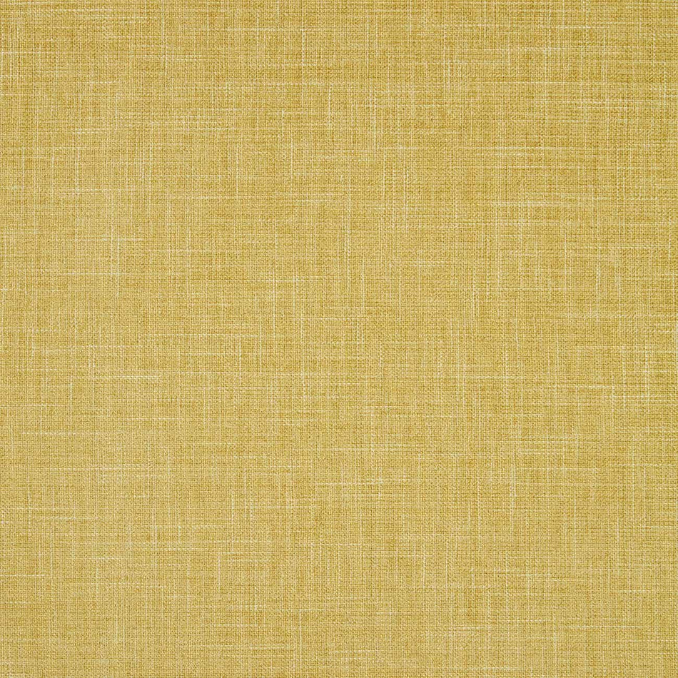 Clarke & Clarke Albany Chartreuse Fabric
