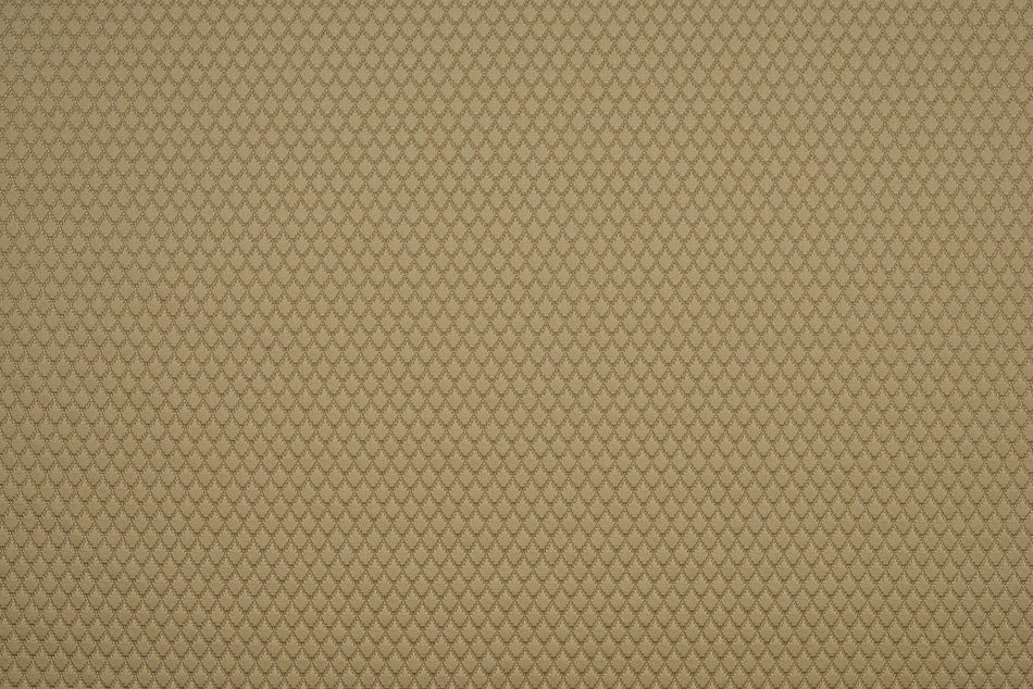 Beaumont Textiles Infusion Adriana Caramel Fabric