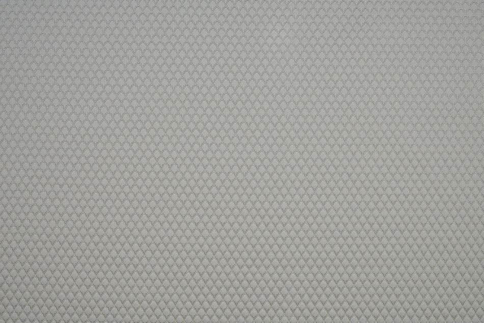 Beaumont Textiles Infusion Adriana Shell Fabric