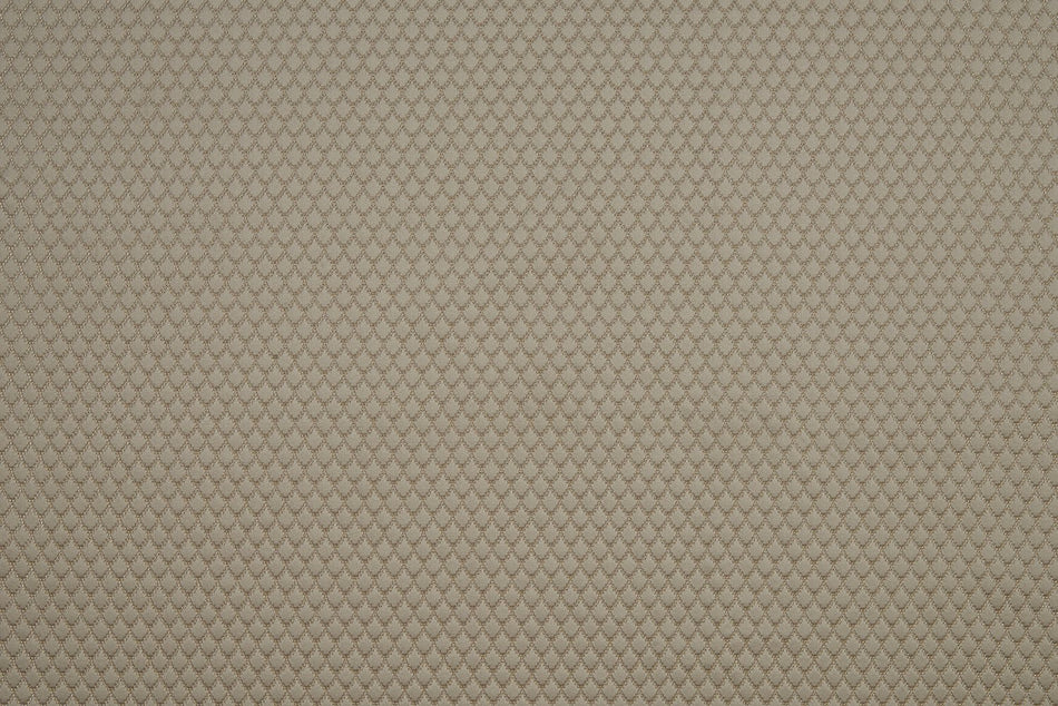 Beaumont Textiles Infusion Adriana Natural Fabric