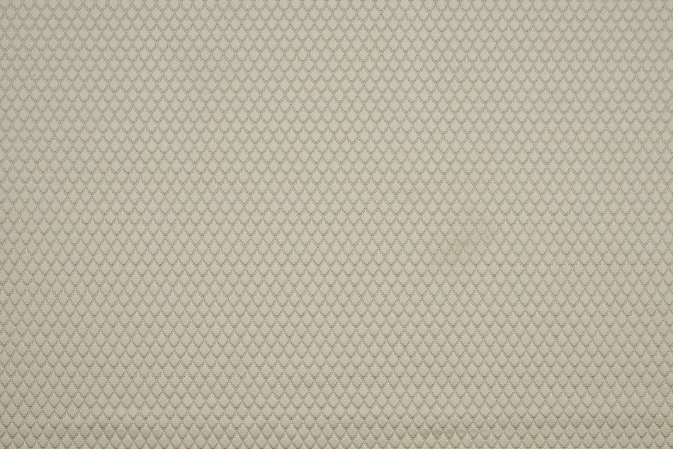 Beaumont Textiles Infusion Adriana Cream Fabric