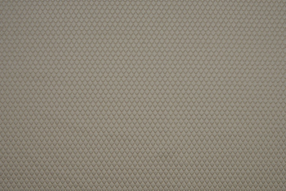 Beaumont Textiles Infusion Adriana Taupe Fabric