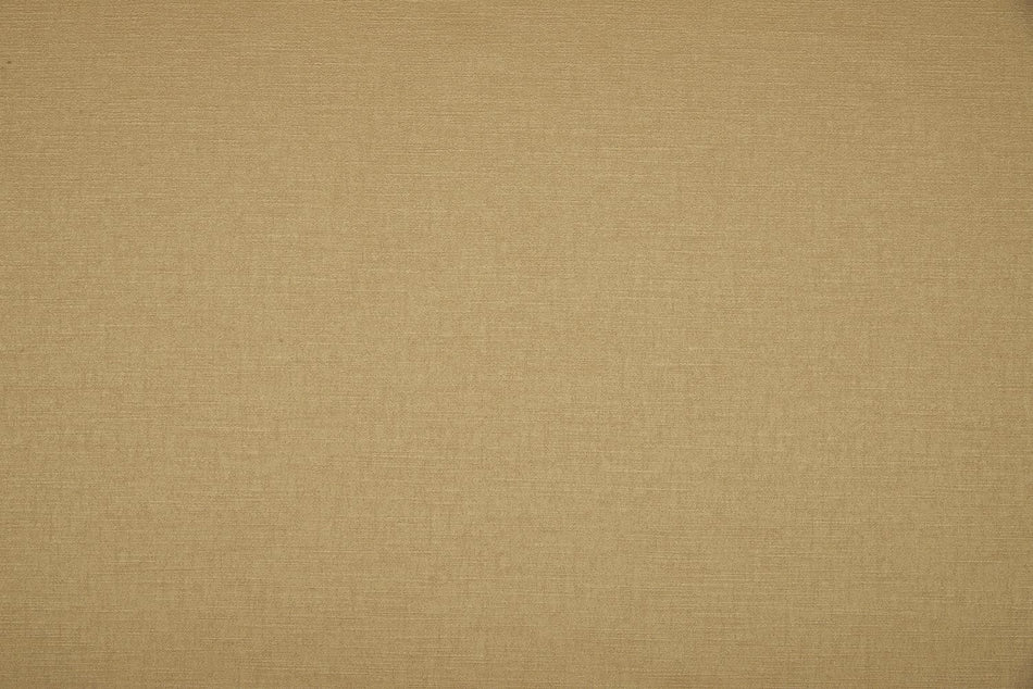 Beaumont Textiles Infusion Angelina Honey Fabric