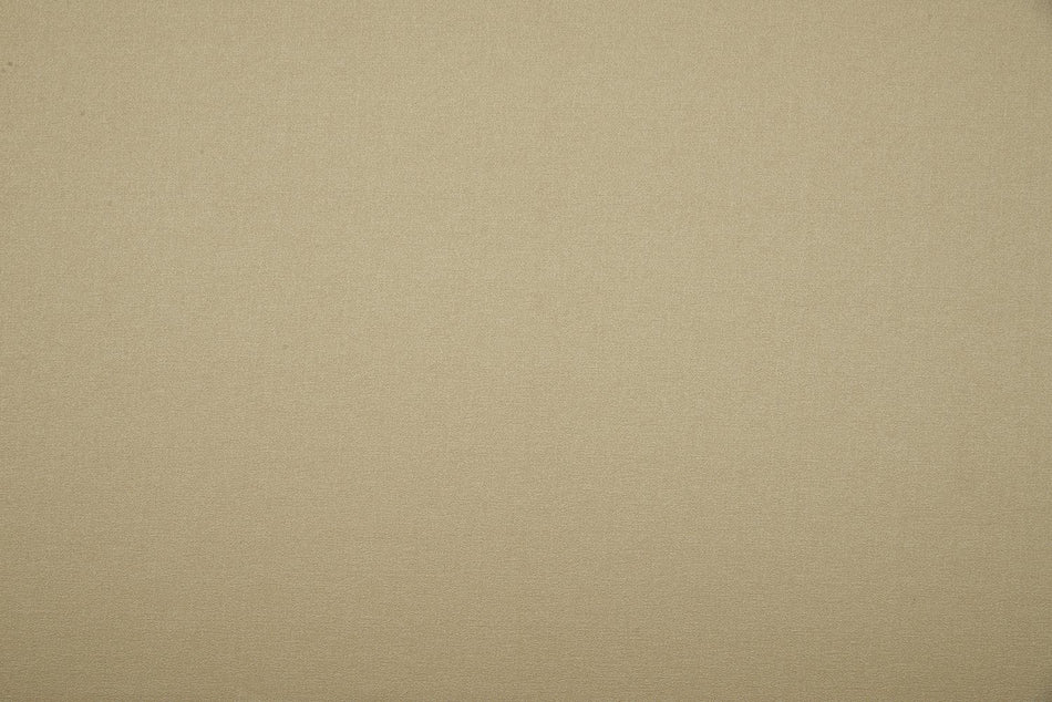 Beaumont Textiles Infusion Nicole Sesame Fabric