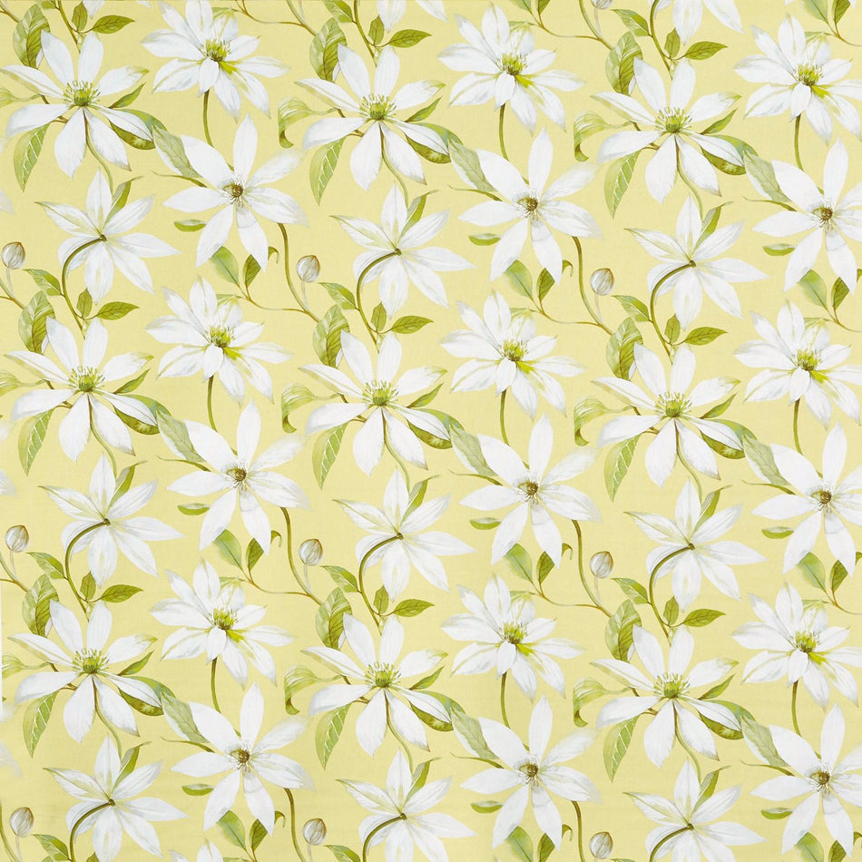 Prestigious Bloom Olivia Primrose Fabric