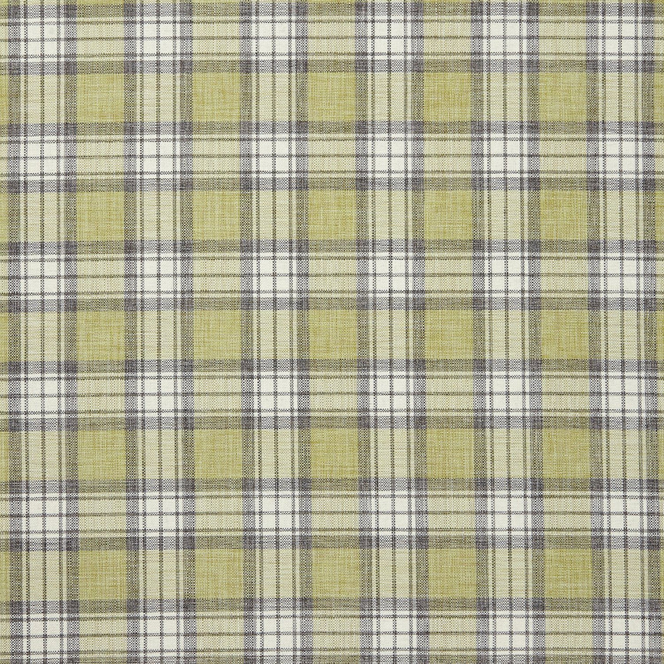 Iliv  Sketchbook Shaker Check Fern Fabric