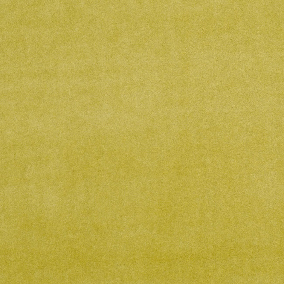 Clarke & Clarke Alvar Olive Fabric