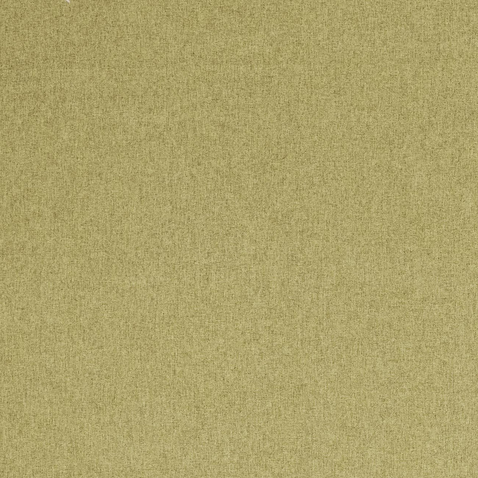 Clarke & Clarke Highlander Fern Fabric