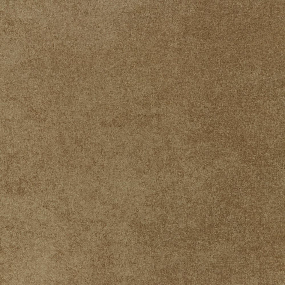 Iliv Plains & Textures Savoy Latte Fabric