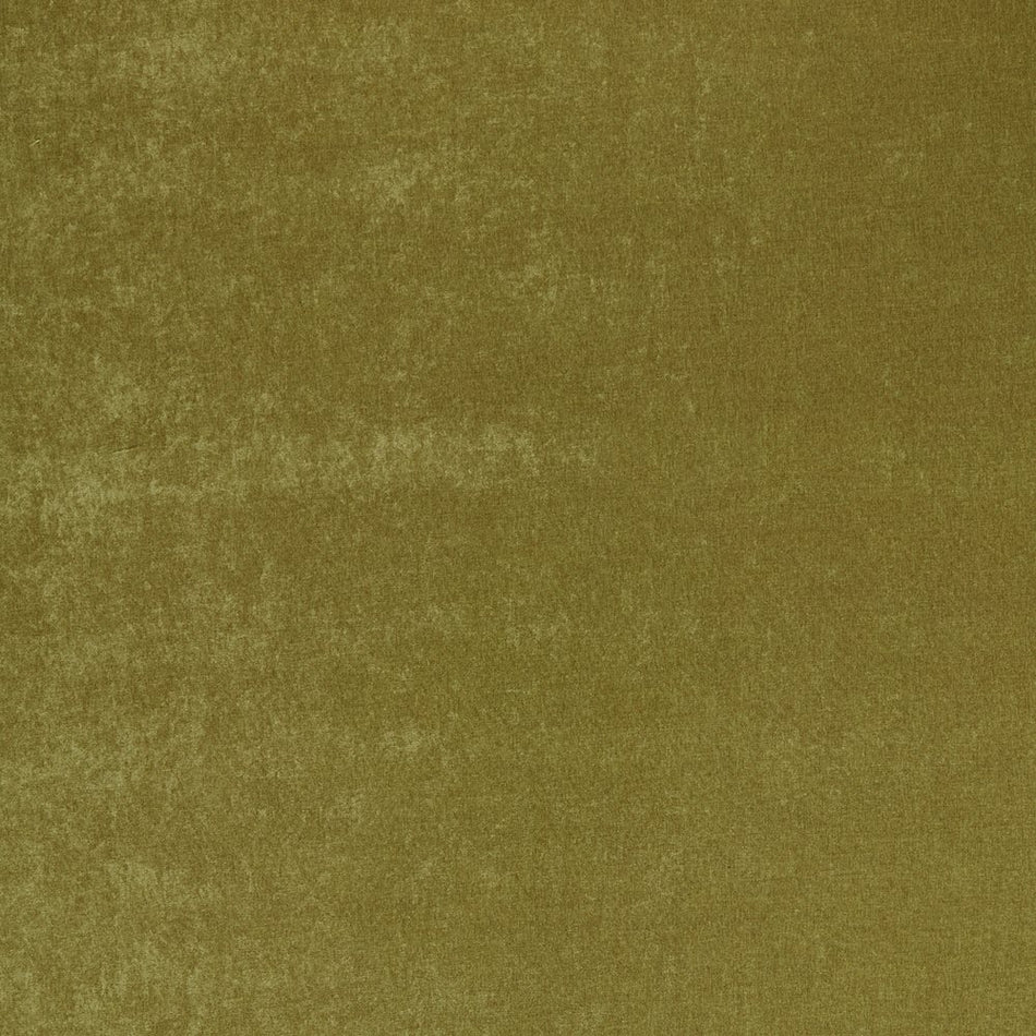 Iliv Plains & Textures Savoy Olive Fabric