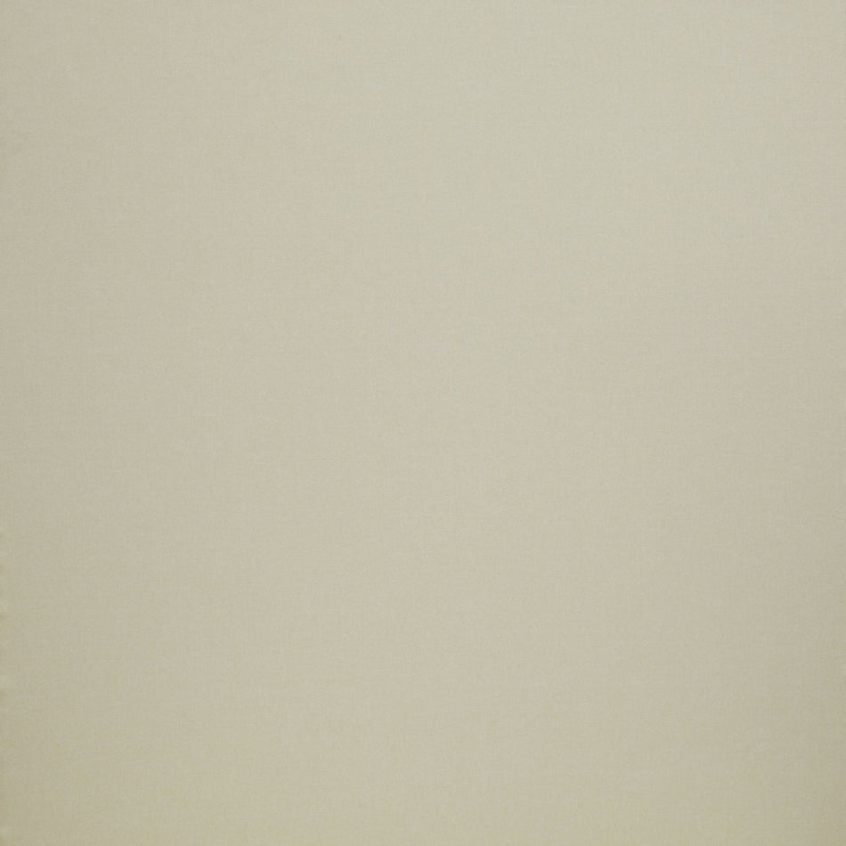 Iliv Plains & Textures Tundra Almond Fabric