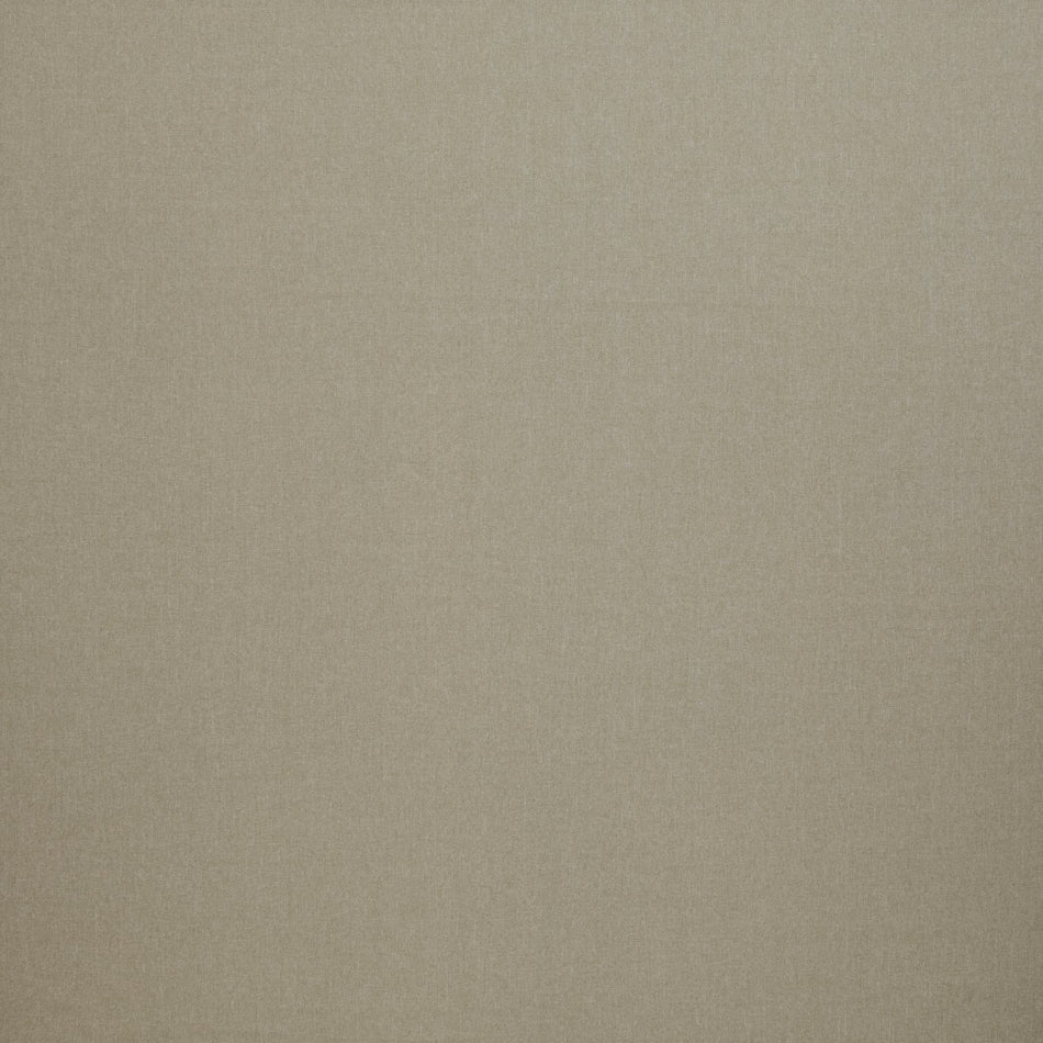 Iliv Plains & Textures Tundra Fawn Fabric