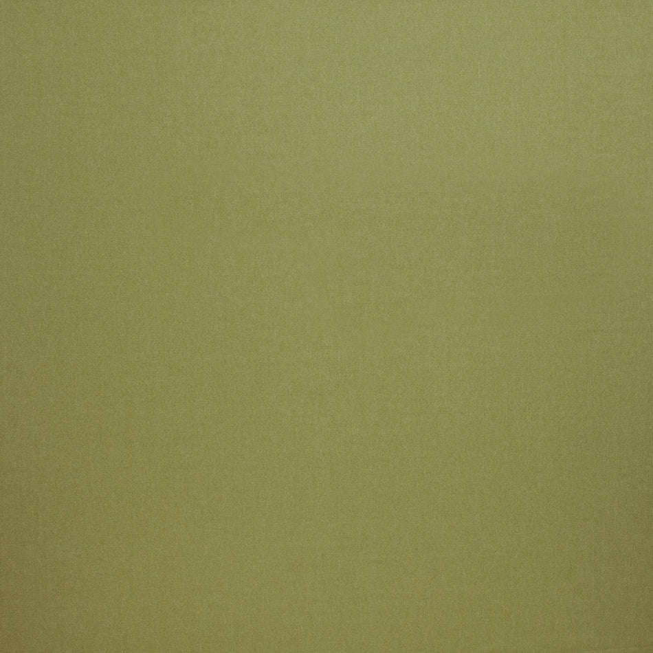 Iliv Plains & Textures Tundra Pistachio Fabric