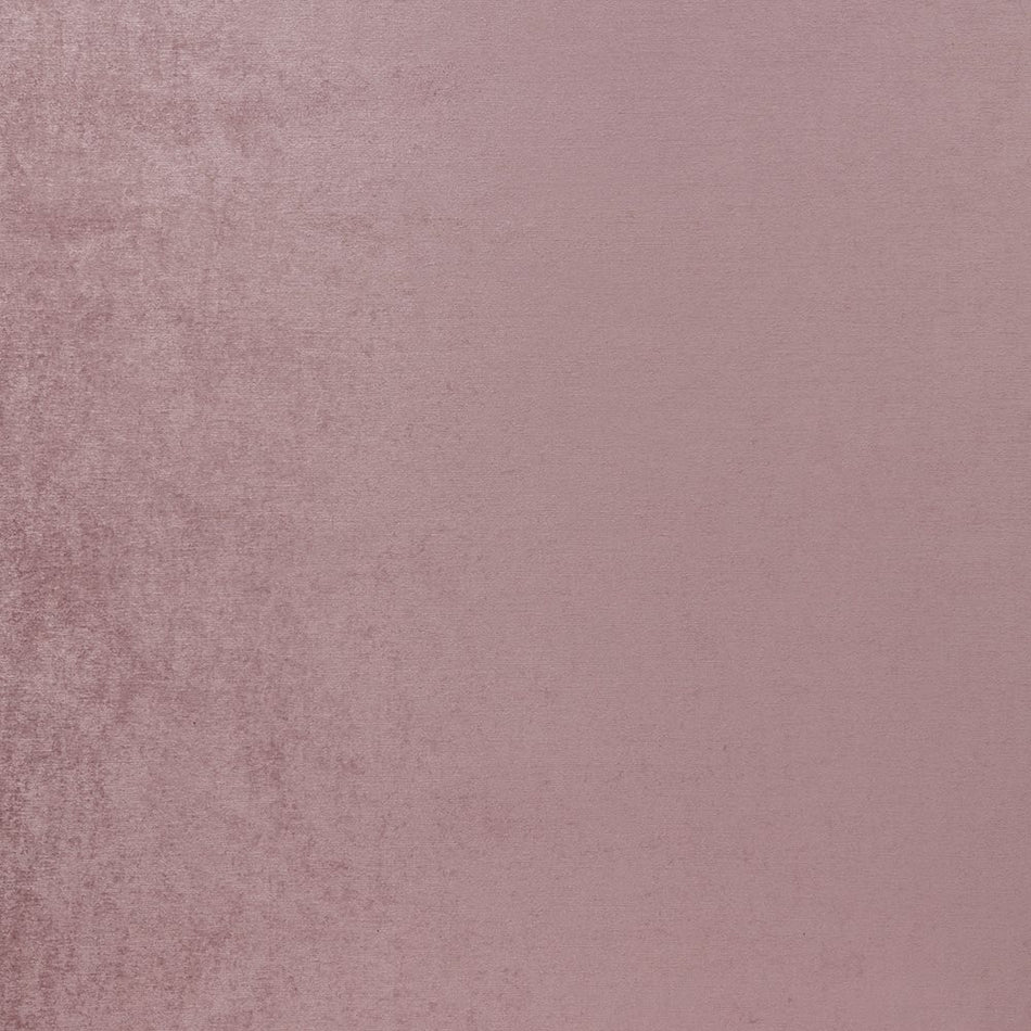 Iliv Plains & Textures Espinoza Crepe Fabric