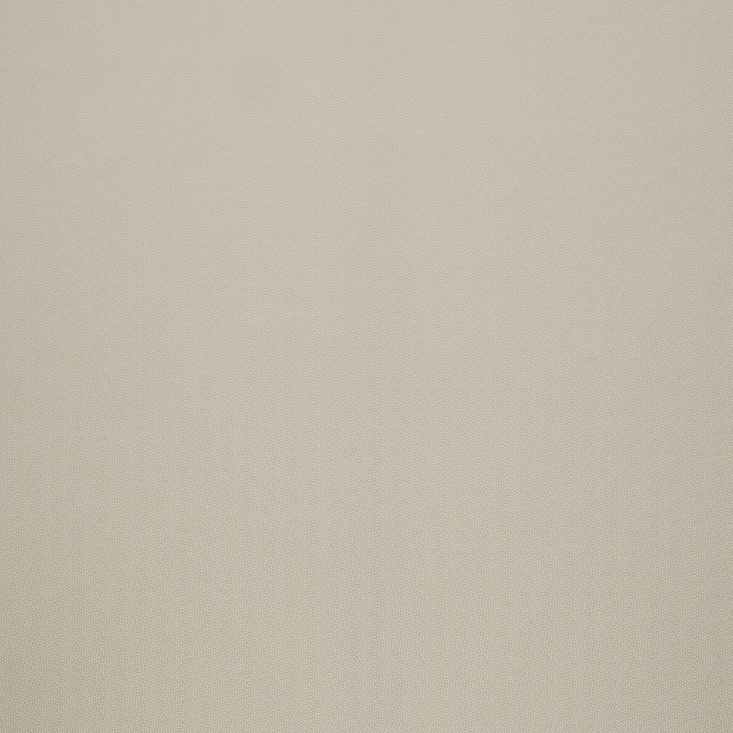 Iliv Interior Textiles Cosmos Ivory Fabric – Just Poles