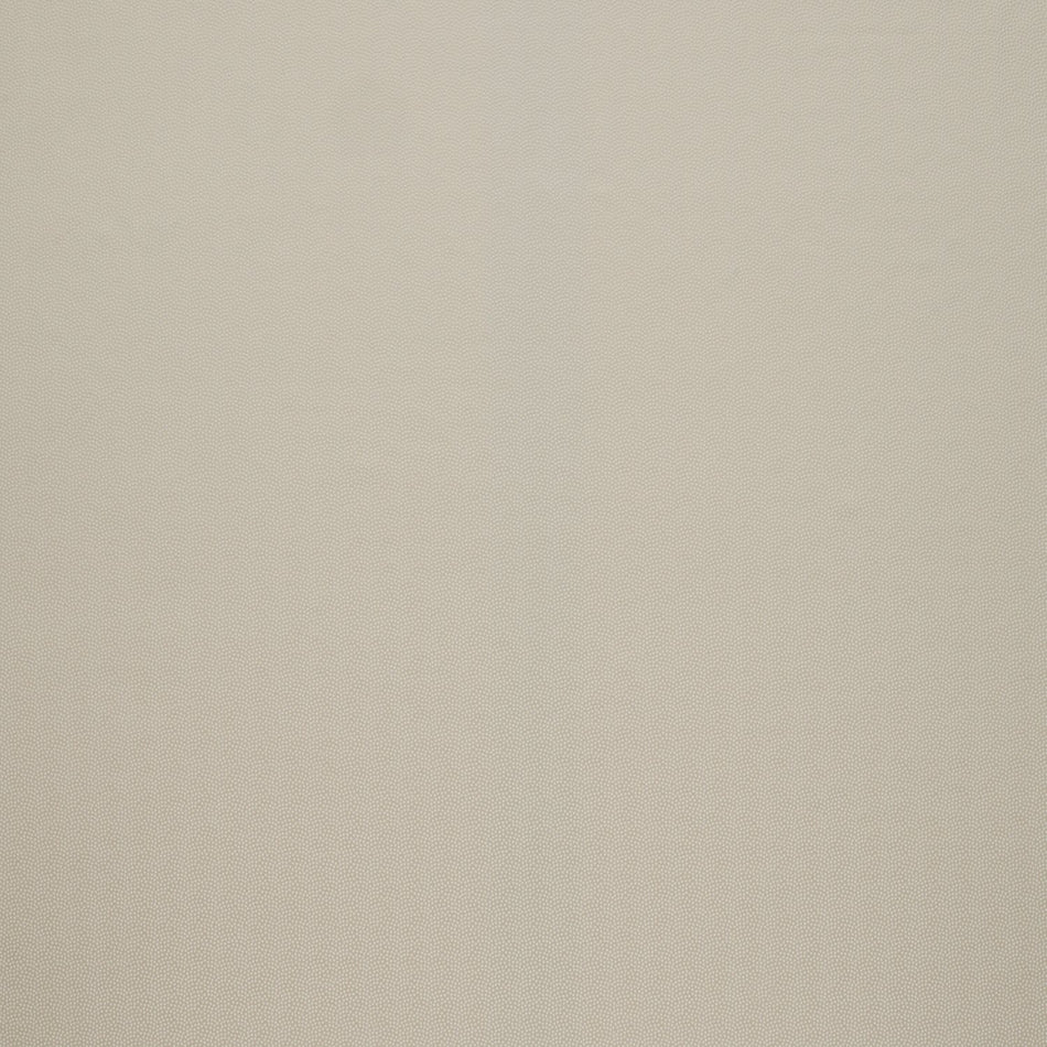 Iliv Plains & Textures Cosmos Ivory Fabric