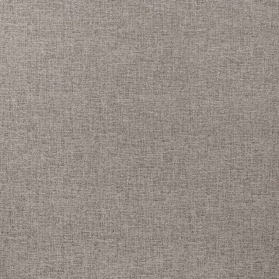 Iliv Plains & Textures Zoya Mink Fabric