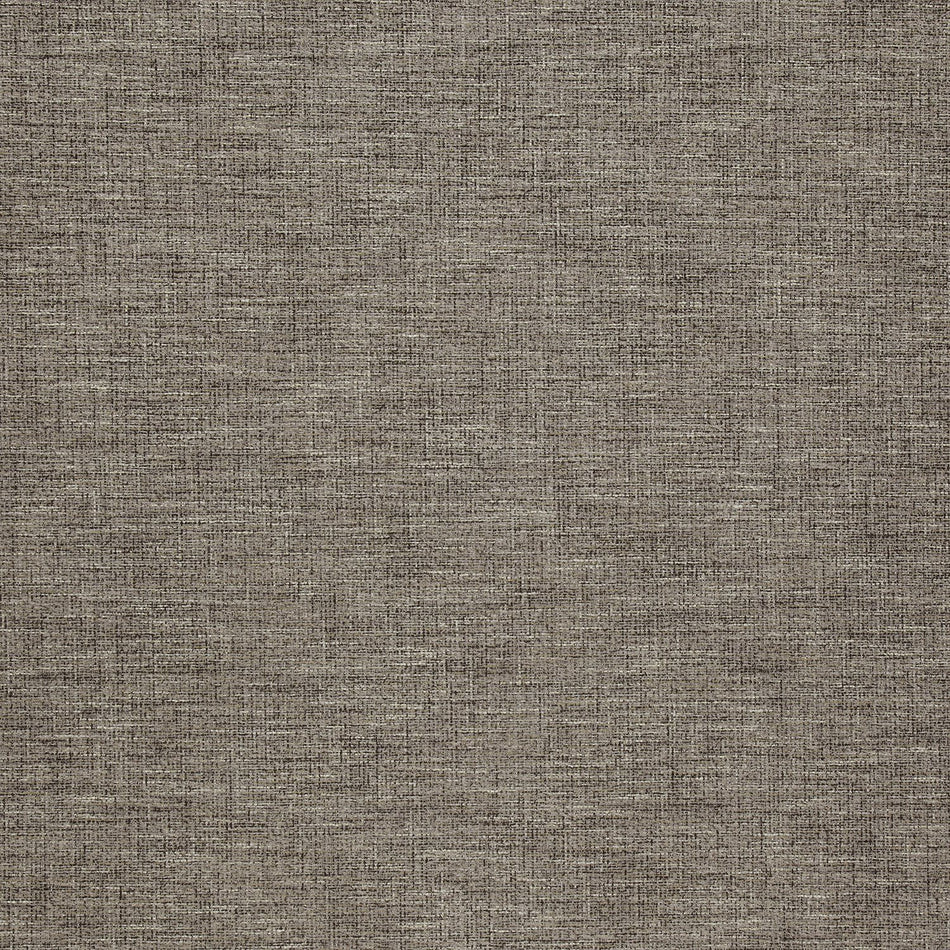 Iliv Plains & Textures Arles Ash Fabric