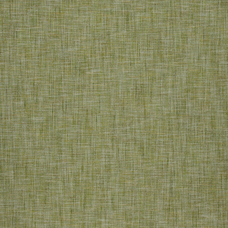 Iliv Plains & Textures Saxon Moss Fabric