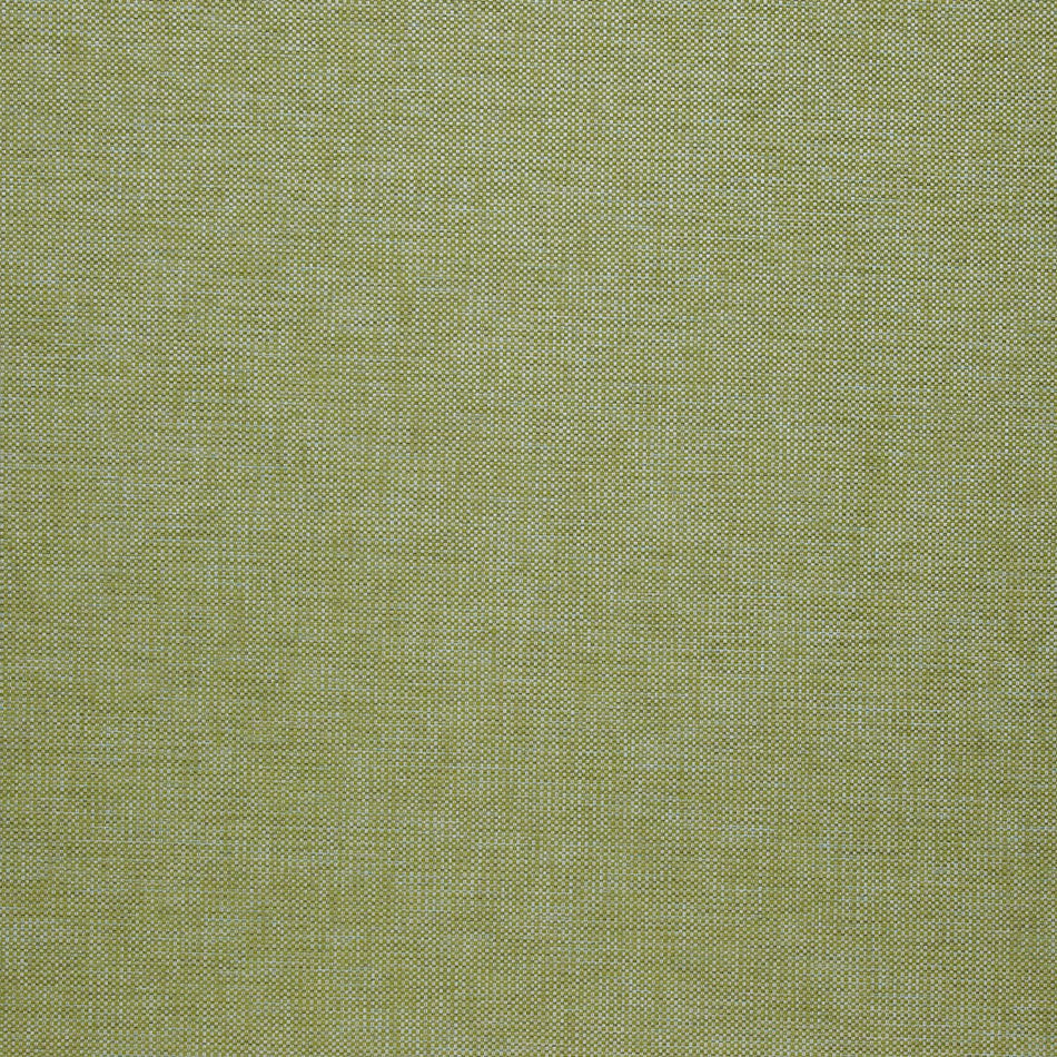 Iliv Plains & Textures Brecon Avacado Fabric